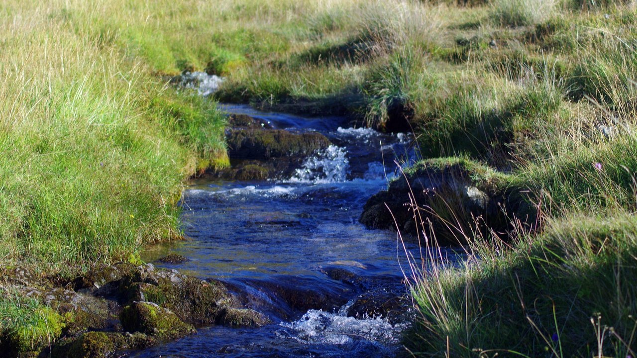 Schottland 2016_160922