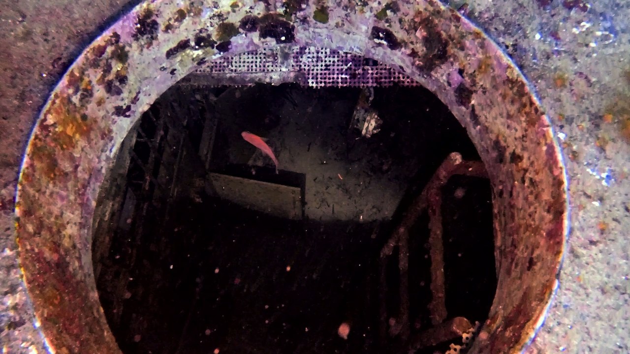 P-31 Wreck - Scuba Diving - Malta September 2016