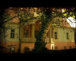 Nedeljko Bajić Baja   Zapisano je u vremenu