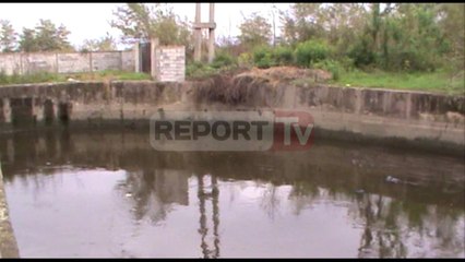 Report TV - Lezhë, gjenden 17 thashë me kanabis në hidrovorin e Shllinzës