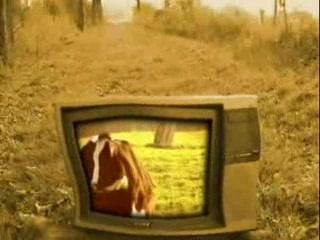 La Molle - Les Fadas de la Canneubière