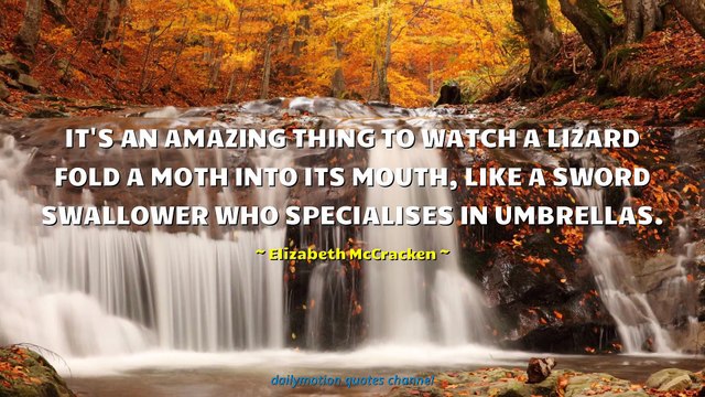 Elizabeth McCracken Quotes #2