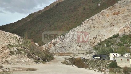 Report TV - Guroret e paligjshme, masakër në Parkun Kombëtar të Dajtit