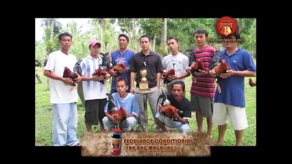 Hawaiian Breeder - Pat & Joe Royos - Royos Gamefarm (Part 3)