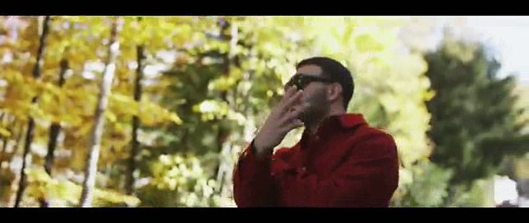 Ledri Vula - A jena mire
