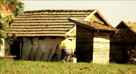 موسيقى الشعوب | عبير نعمة في موسيقى الشعوب | من هنغاريا | 2016-10-23