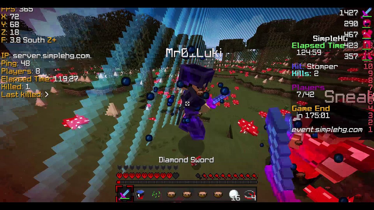 SimpleHG YouTuber Tournament [EvilChicken313]