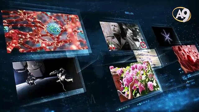 Sayın Adnan Oktar'ın Eylül 2016’da dünya basınında yayınlanan makaleleri