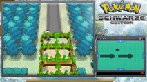 Lets Play Pokémon Schwarze Edition Part 86: Items nachholen und Pokémon nach Abonnenten benennen!