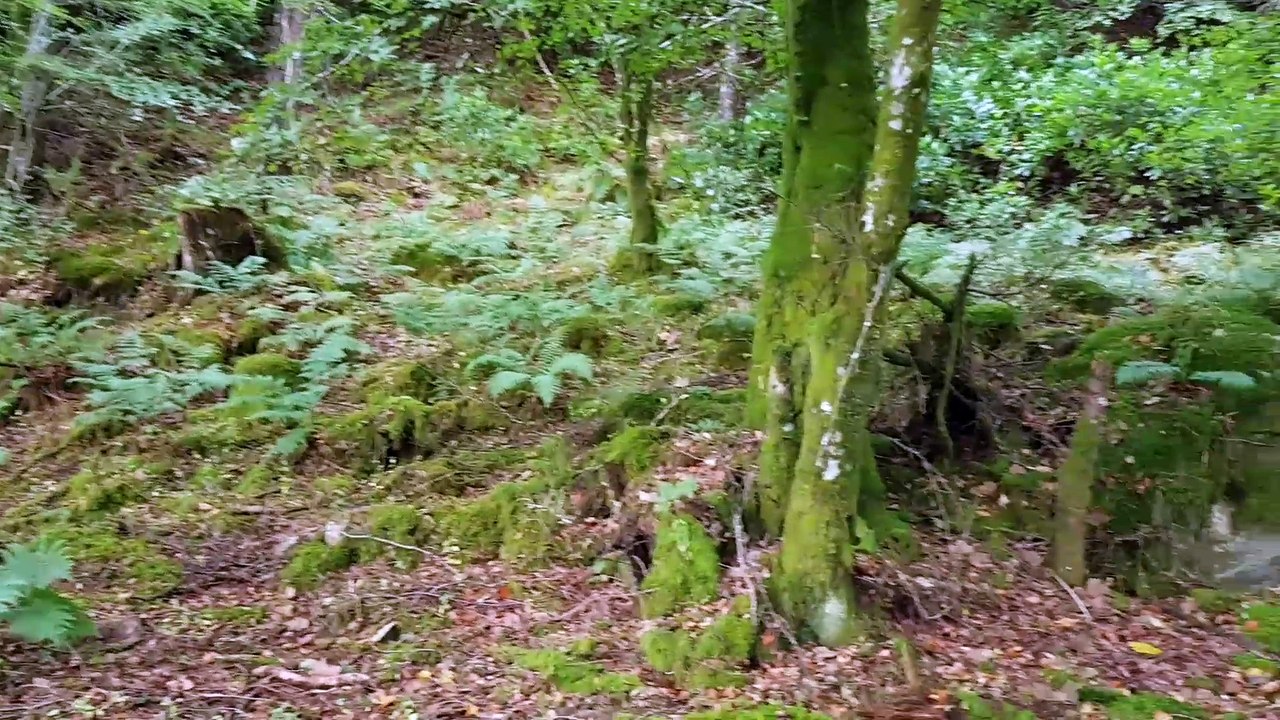 Schottland 2016_160923