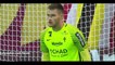 Alessane Plea Goal HD - Metz 1-2 Nice - 23-10-2016