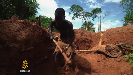 Ivory Coast: Farmers abandon cacao for gold mining