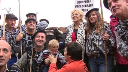 Dos mil ovejas llegan a Madrid en Fiesta Trashumancia