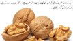Akhrot Ke Fawaid- Health Benefits Of Walnuts- اخروٹ کے فائدے