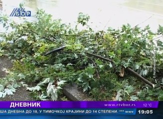 Dnevnik, 23 oktobar 2016. (RTV Bor)