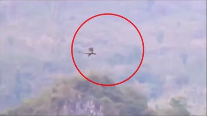 What kind of creature is found flying in the Sky? - Horrible