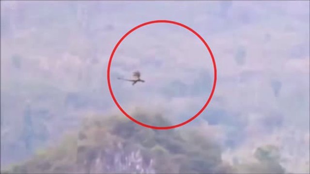 What kind of creature is found flying in the Sky? - Horrible