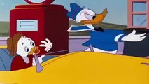 Donald Duck & Chip and Dale Cartoons Full Episodes - Pluto Dog, Daisy Duck ( Part 2 )