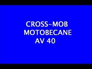 cross mob bois fontaine