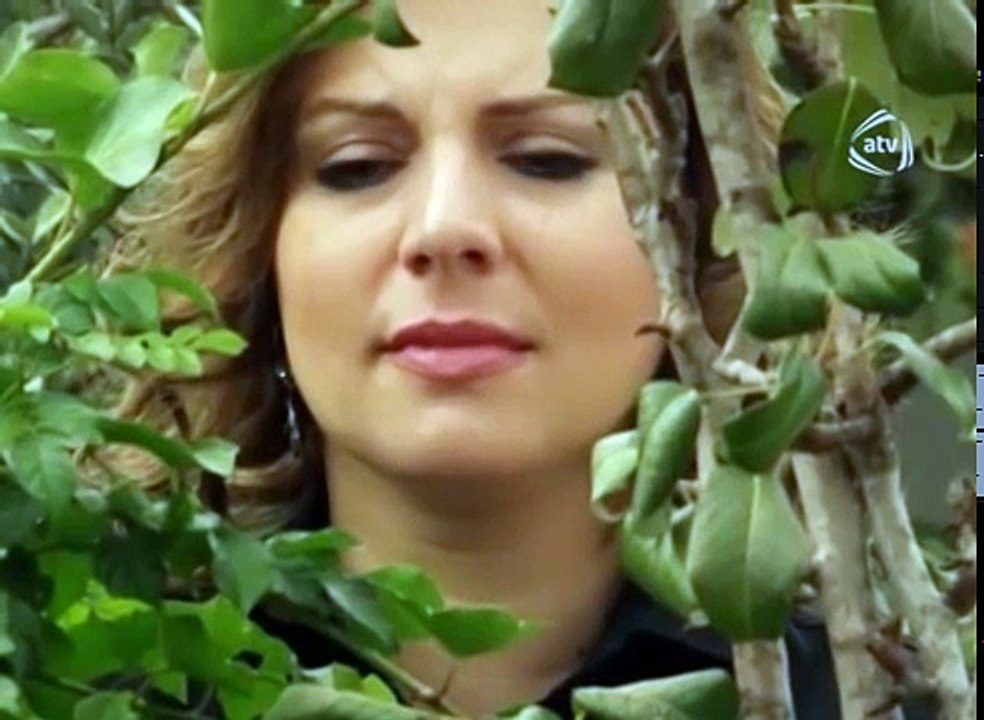 Qağayı (8-ci seriya)