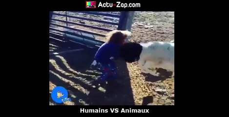 Humains vs Animaux : Essayez de ne pas rire
