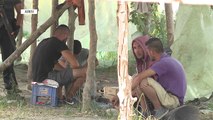Kanabis në Fushë-Krujë, arrestohen 4 persona - Top Channel Albania - News - Lajme