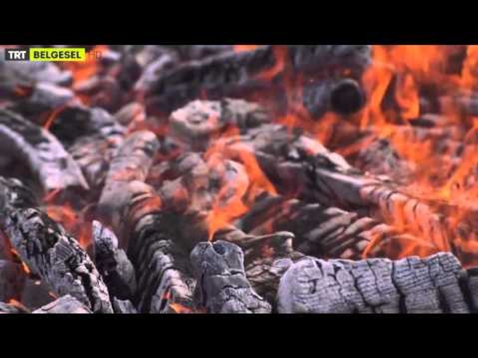 Zaman Makinası - 8. Bölüm Fragman - TRT Belgesel