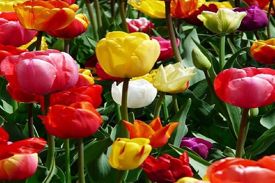 밤전 홍대안마 사진 BamWar007.com