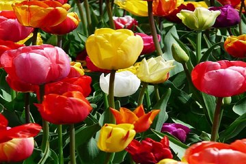 밤전 홍대안마 사진 BamWar007.com