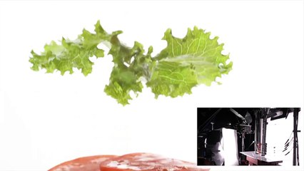Landing a Burger in Slow Motion