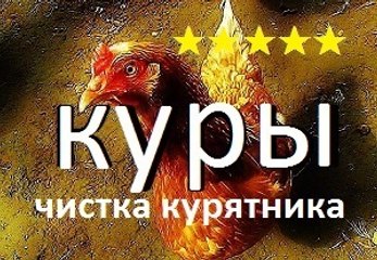 КУРЫ | ЧИСТКА КУРЯТНИКА | Куры несушки | chickens