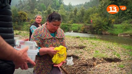 Lugares que Hablan 2016 - Arauco, La fuerza de sus mujeres