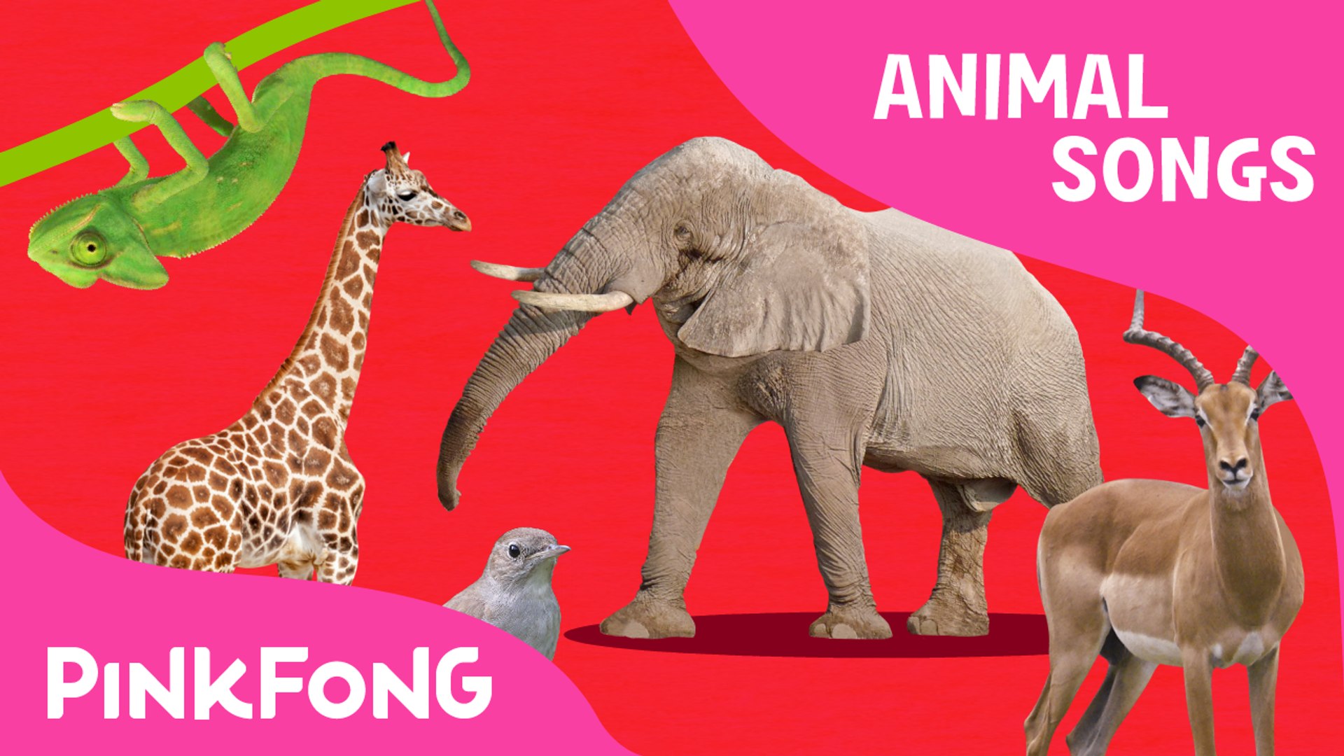 ABC Animal Train | Animal Songs | PINKFONG Songs for Children - video  Dailymotion