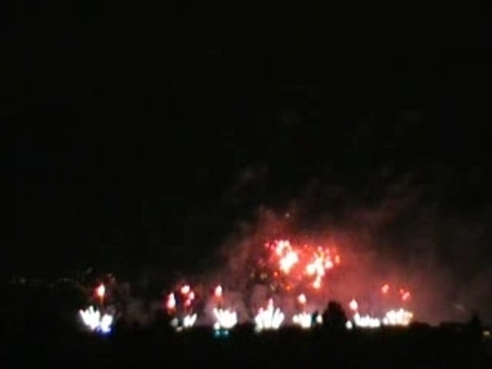 Geneva Fireworks 2007 Genève Feux d'Artifice (3)