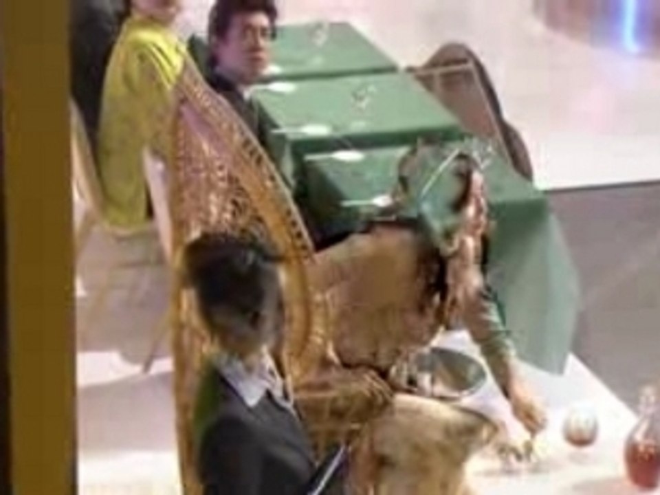 Teppan Shoujo Akane 05 (4/4)