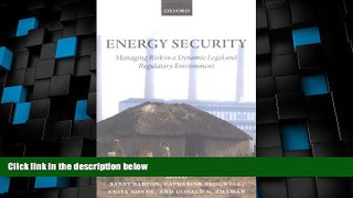 Big Deals  Energy Security: Managing Risk in a Dynamic Legal and Regulatory Environment  Best