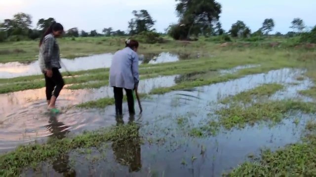 Big vs Big Cats Deadliest Fights | Tiger Jaguar Cheetah Lions Attacks