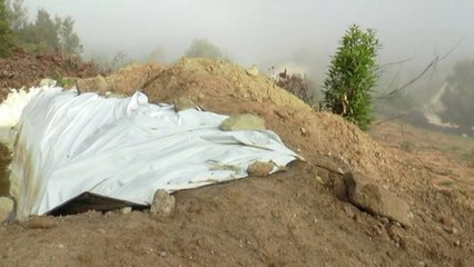 3 ton drogë në Mat, policia: Gjetëm edhe një kamionçinë - Top Channel Albania - News - Lajme