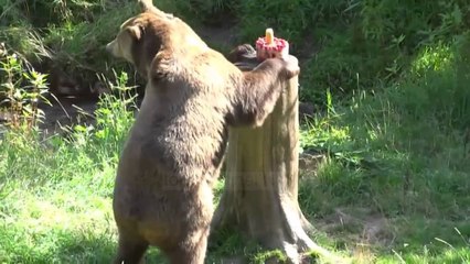 Lamtumirë Roki dhe Smoki! - Top Channel Albania - News - Lajme