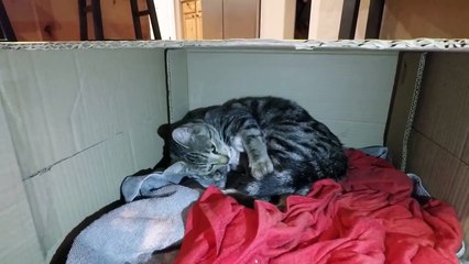 My Neighbor Had A Baby - I Am NOT The Father!