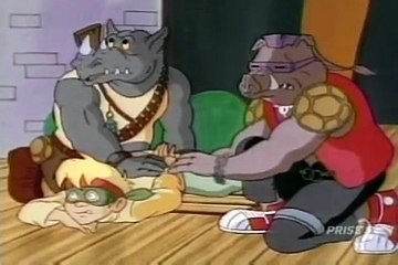 Tortues Ninja Les Chevaliers décaille S03E38 - Le Plan Disparu