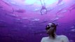Ce plongeur en apnée se retrouve entouré par des centaines de thons!