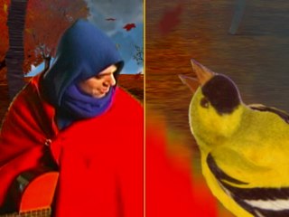 "I Will Truck" by Dirty Projectors