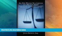 Big Deals  So, You Wanna Be a Lawyer at a Big Law Firm?: What you need to know about practicing