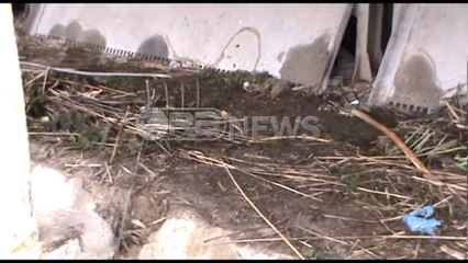 Ora News – Kurbin, gjenden 17 thasë me kanabis në hidrovorin e Shllinzës