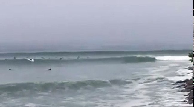 Private Surf Instructors for Santa Monica