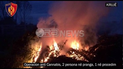Ora News – "Krehet" Shkodra, Vlora e Gjirokastra: Sekuestrohen mbi një ton drogë