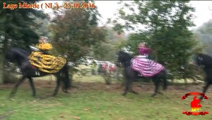 Lespes TV: Large Meirde - Camping De Hertenwei