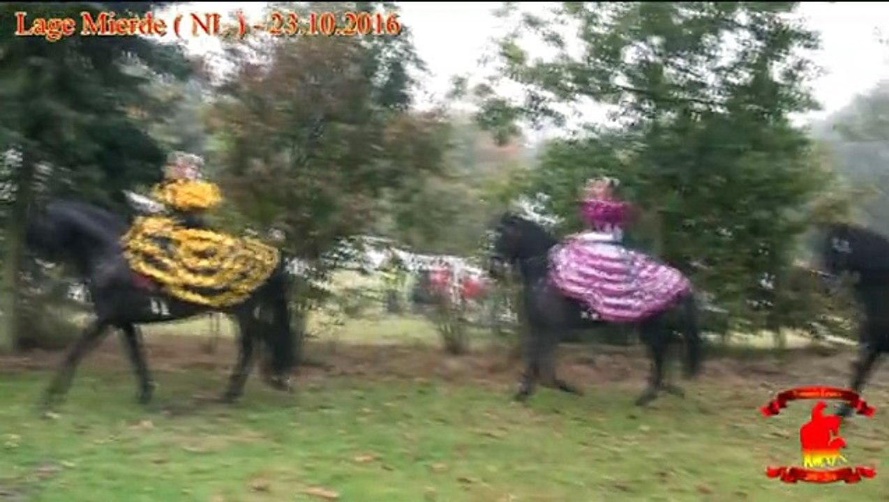 Lespes TV: Large Meirde - Camping De Hertenwei