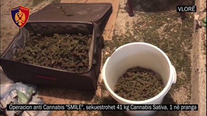 Ora News - Vlorë, ndërtuesi arrestohet për 41 kg kanabis në garazh